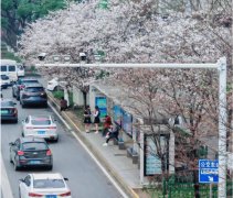 关于智能候车亭，其核心功能和技